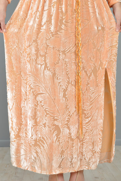 Richilene Blush Devore Silk Velvet Feather Gown