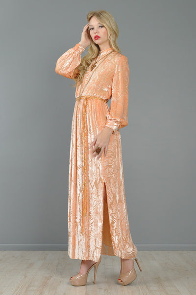 Richilene Blush Devore Silk Velvet Feather Gown